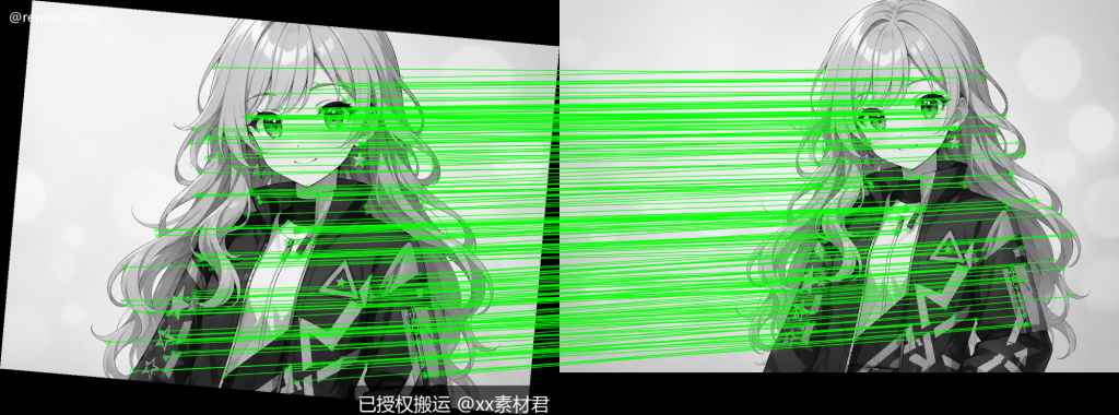 1788846210 模拟盗图 举证图
